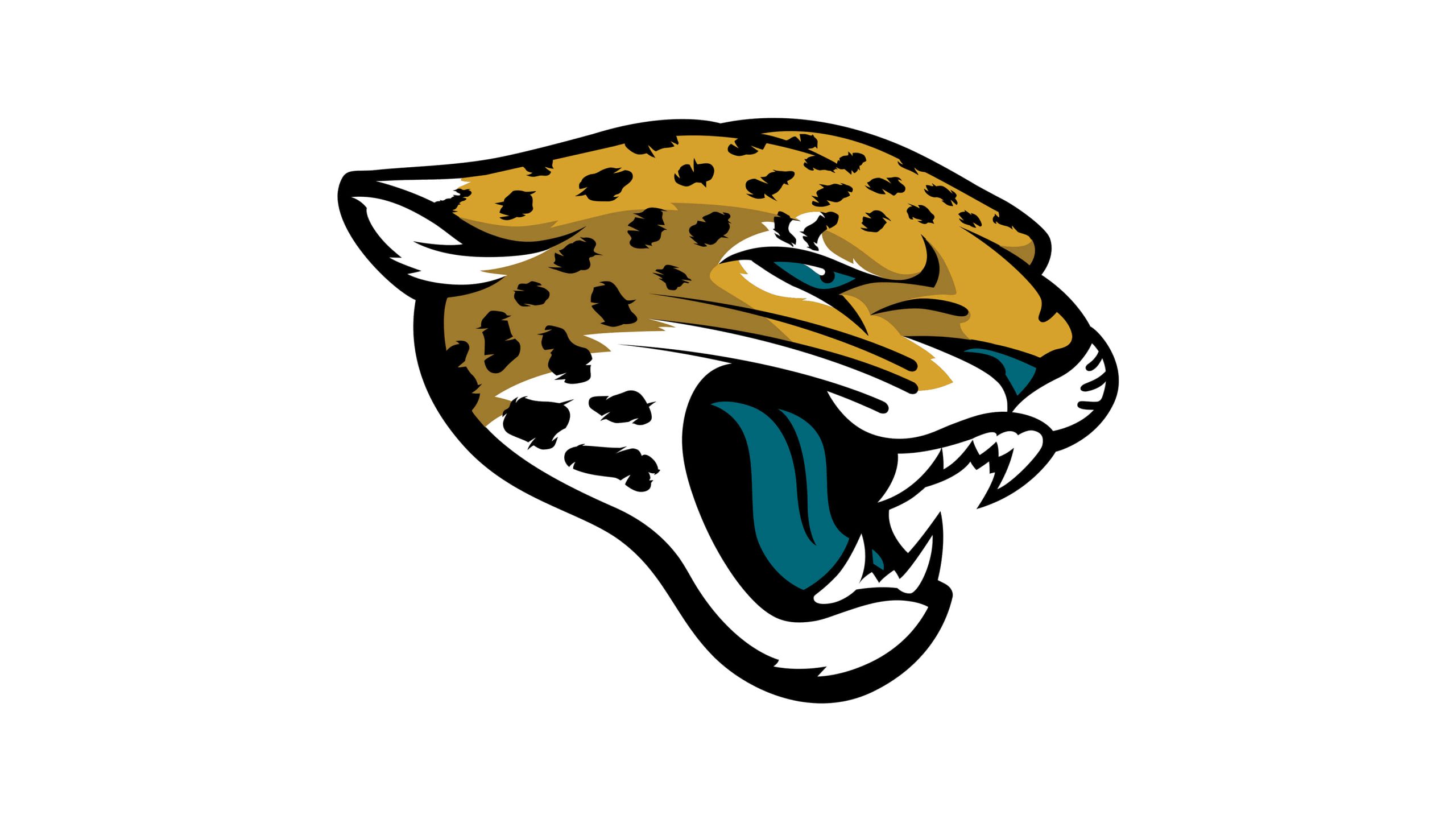 Jaguars Wire