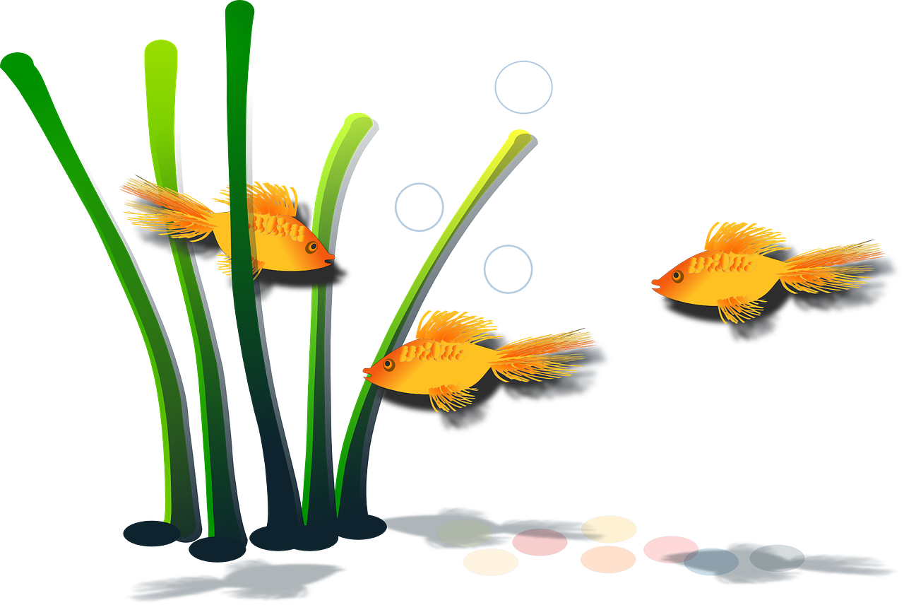 goldfish-151121_1280