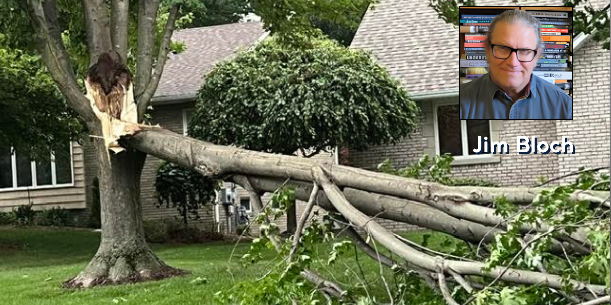 T-storm knocks down trees, knocks out power in St. Clair