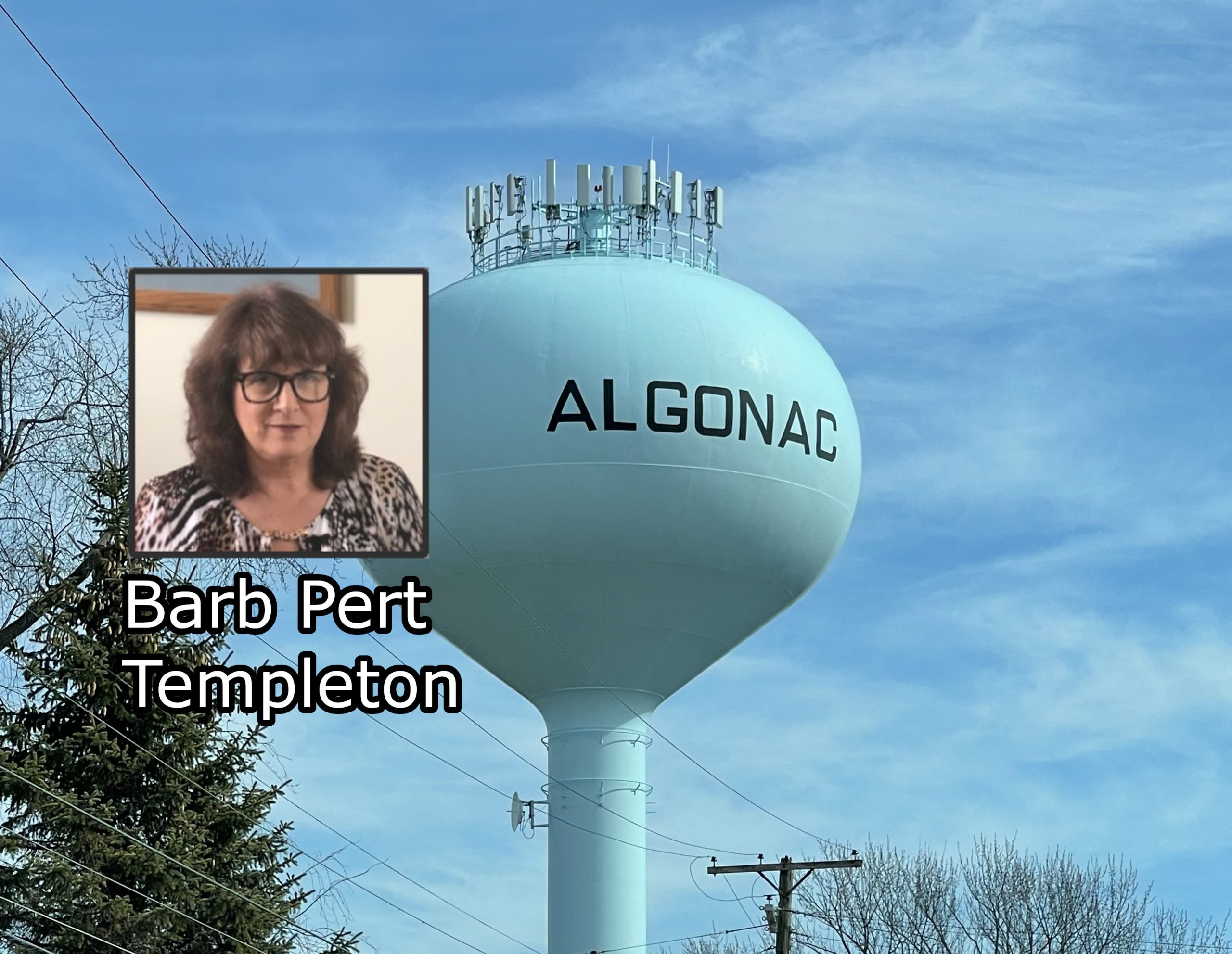 Part 3: Algonac mayor/mayor pro tem address Pickeral Tournament issue