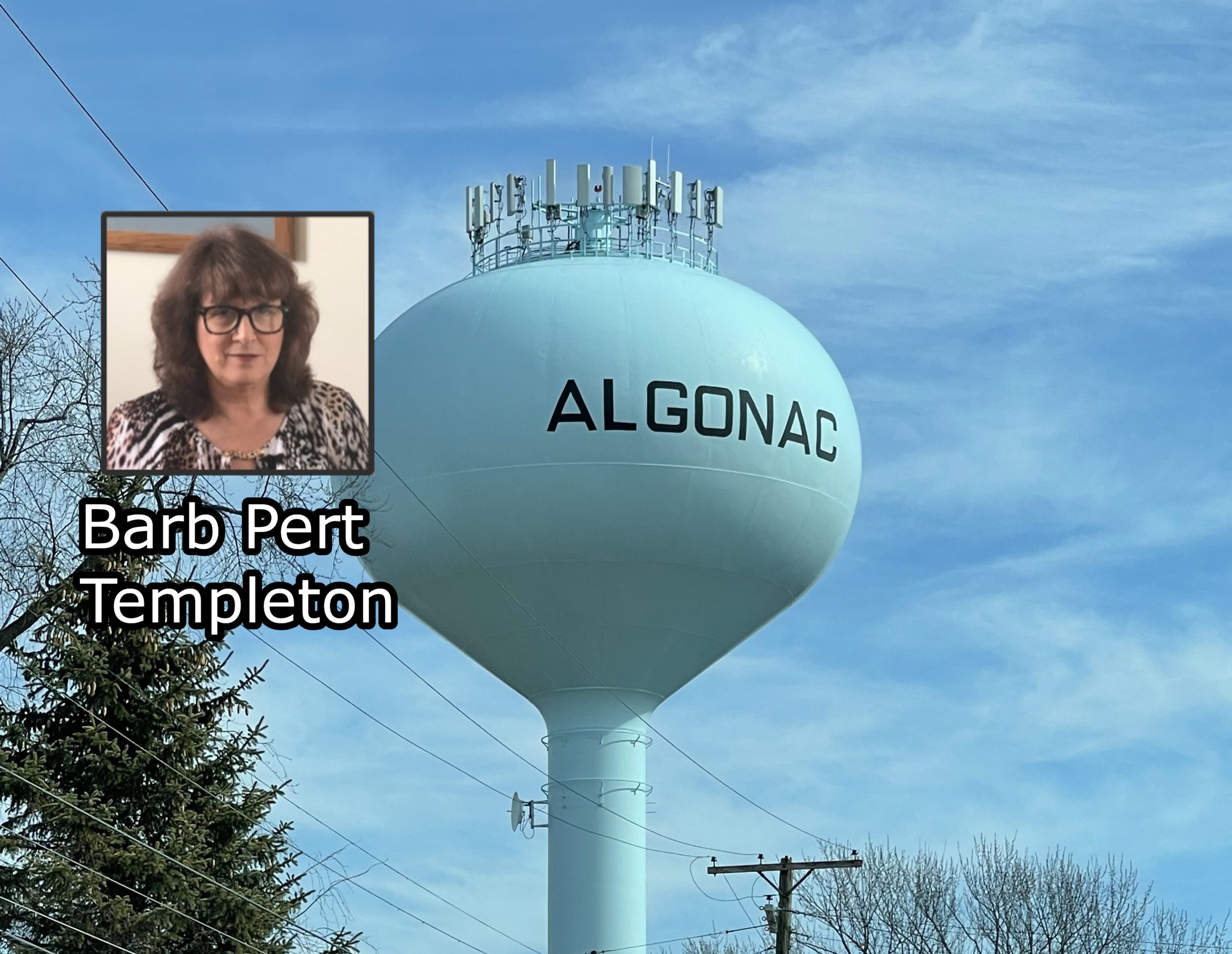 Algonac Council discusses mini-bike and scooter regulations