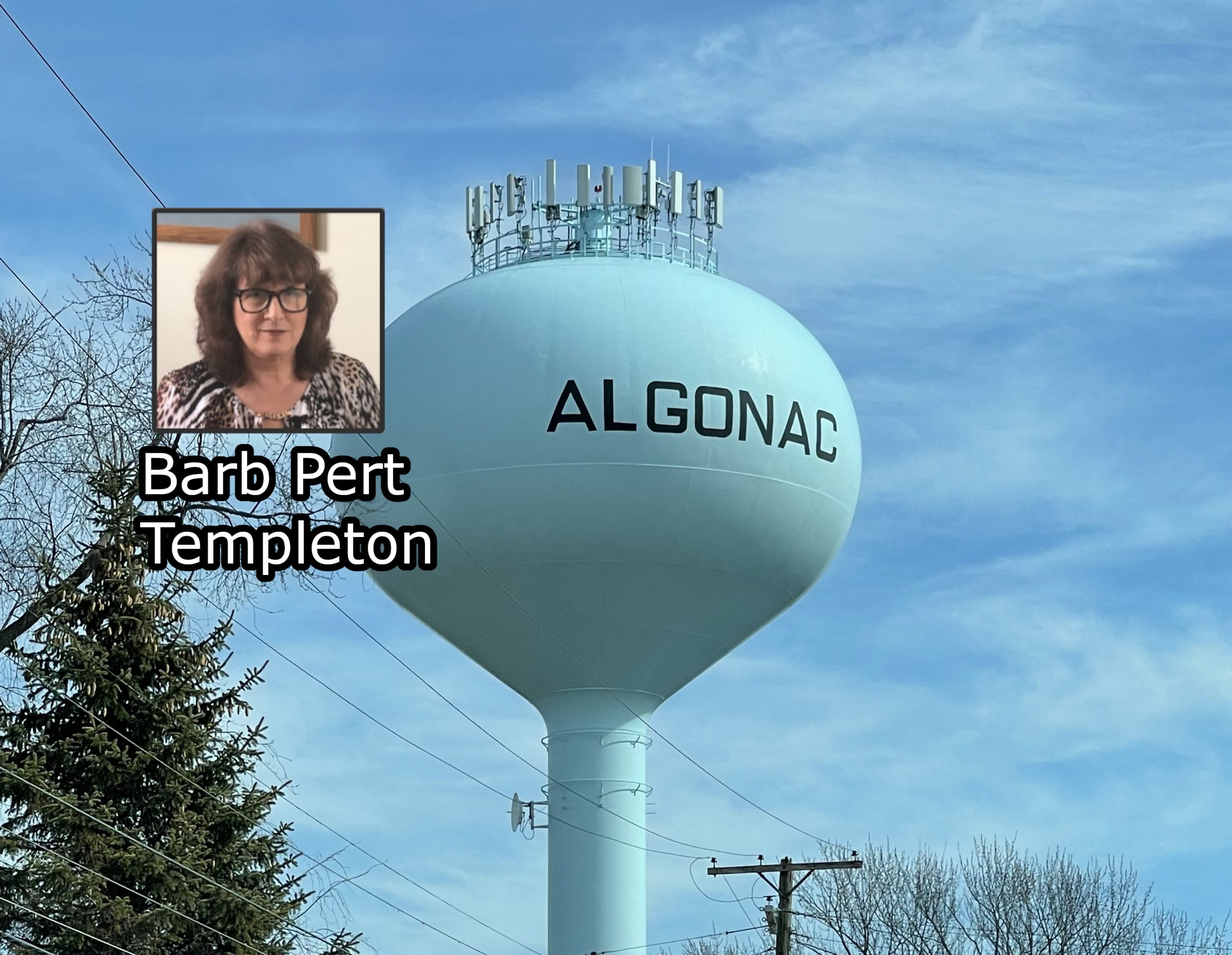 Algonac City Council takes care of business 8-4-2026