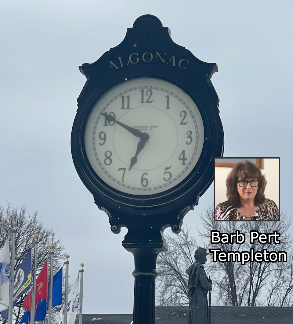 Algonac city manager’s report to the council