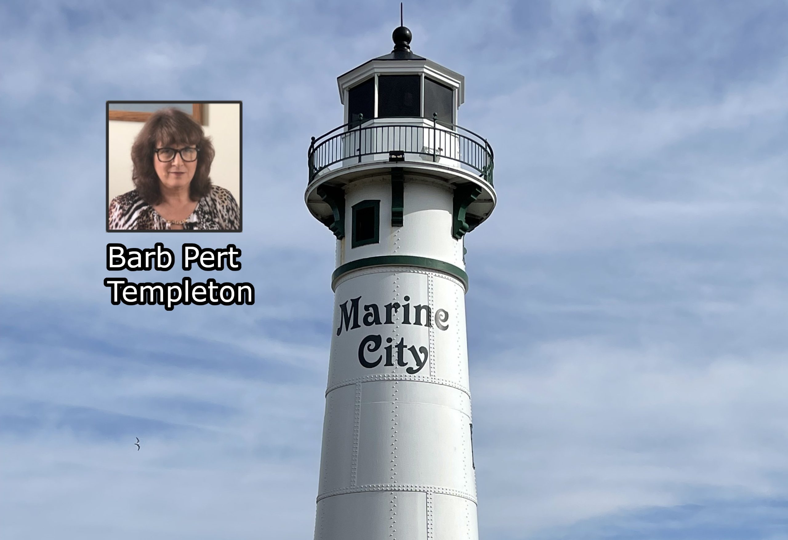 Warner questions process in hiring new Marine City manager