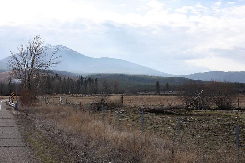 A view to the southwest from Cassel Road, east of Highway 89 and Hat Creek. Burney Mountain is visible in the left side. The wind farm project was proposed 12 miles away from this location, according to a Fountain Wind consultant.