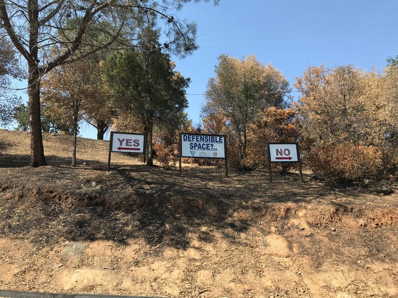 File photo - On the "yes" side, the trees are trimmed and the proper distance away from one another. On the "no" side, firefighters showed the raw wildlife that some people have closing in on the eaves of their home. The sign display is outside Cal Fire Station No. 58 on Tuesday, Aug. 18, 2018.