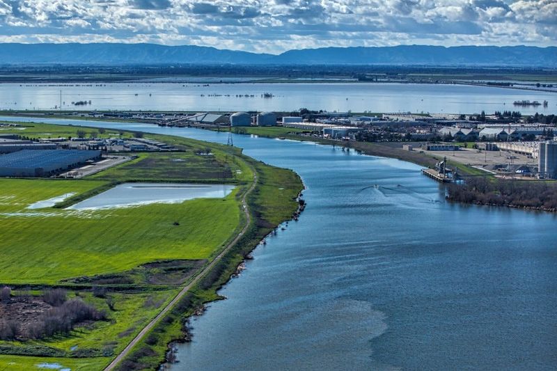 The San Joaquin-Sacramento Delta provides much of the water used by California farmers and cities. But it also is habitat for salmon and smelt that are endangered by water pumping. [U.S. FISH AND WILDLIFE SERVICE]