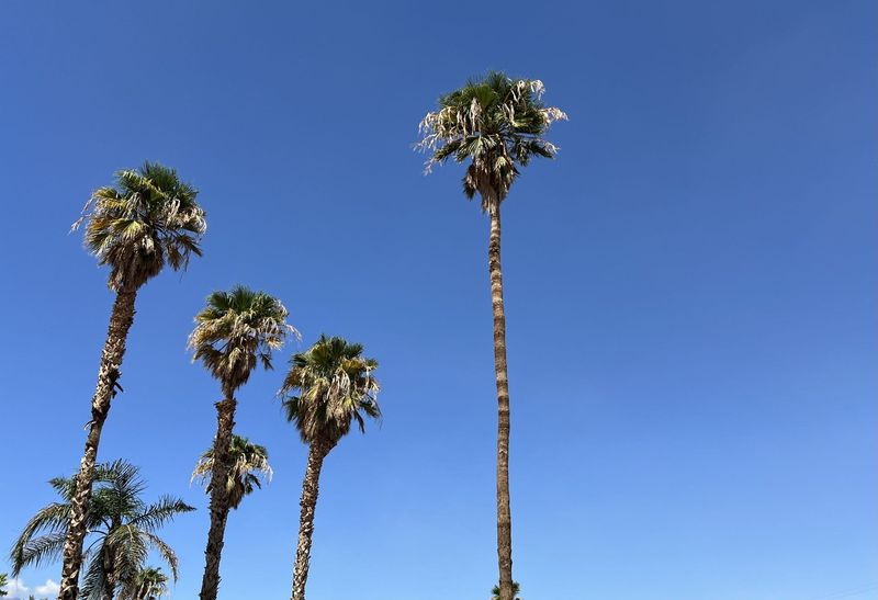 Sunday's clear skies and mild temperatures in the Coachella Valley were a welcome respite from weeks of alternating storms and heat. Seen Sunday, Sept. 3, 2023.