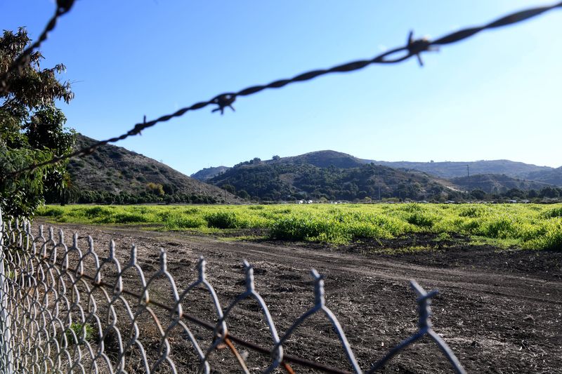 This December 2023 file photo shows a grass-covered field along North Ventura Avenue, north of Ventura. A housing development for farmworkers, called Ventura Ranch, is proposed for the site.