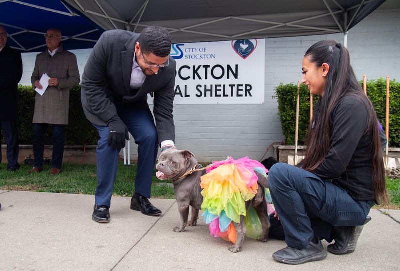 Stockton Mayor Kevin Lincoln pets shelter dog Demona handled by animal control officer Kayla Acevedo at a groundbreaking ceremony for renovations for the new Stockton Animal Shelter in south Stockton on Nov. 20, 2204.