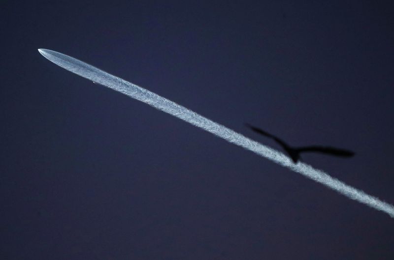 A bird soars as the SpaceX Falcon 9 rocket launches from Vandenberg Space Force Base photographed from Whitewater, California, April 1, 2024.