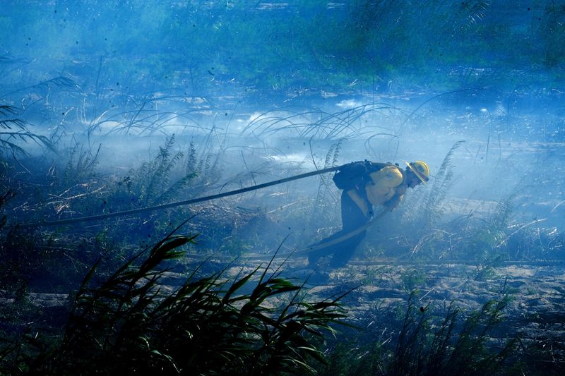 Firefighters bring hoses out to fight the Laguna Fire, which broke out in the hills west of the CSU Channel Islands campus outside Camarillo on Jan. 23.