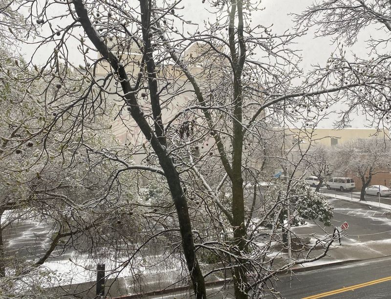 Downtown Redding gets a dusting of snow on Friday, March 14, 2025.