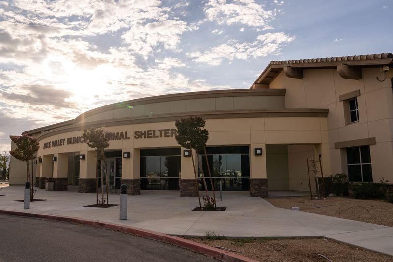 The Apple Valley Town Council’s message is they’re still gathering information regarding the potential sale of its animal shelter to San Bernardino County. Meanwhile, many residents have voiced concern over the town's involvement with the county.