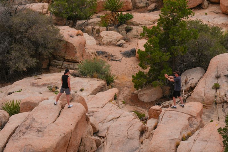People take photographs in Joshua Tree National Park, Calif., May 12, 2025.