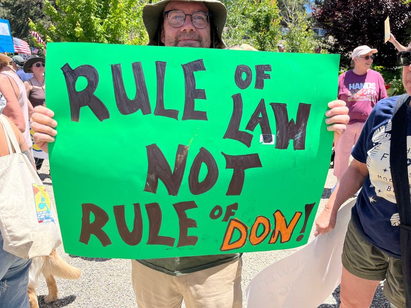 Protesters take to the streets at a "No Kings" rally in Idyllwild, Calif., June 14, 2025.