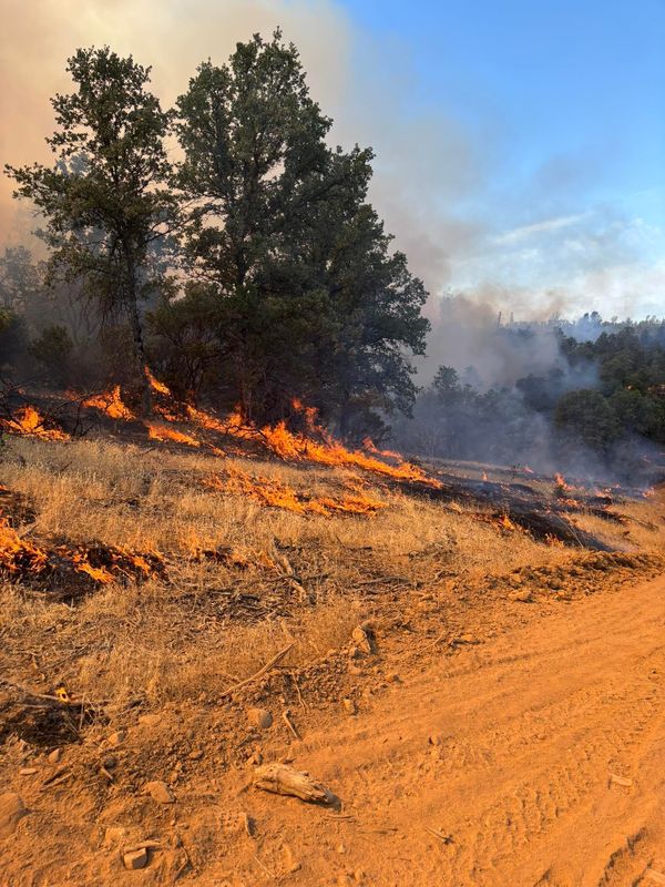 The Rancho Fire in Cottonwood broke out on Thursday afternoon, June 19, 2025.