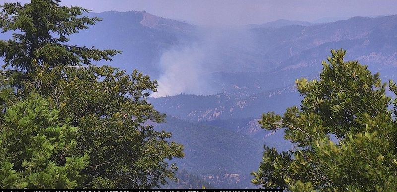 The 20-acre Rush Fire burns in Lewiston in Trinity County on Friday, June 20, 2025.