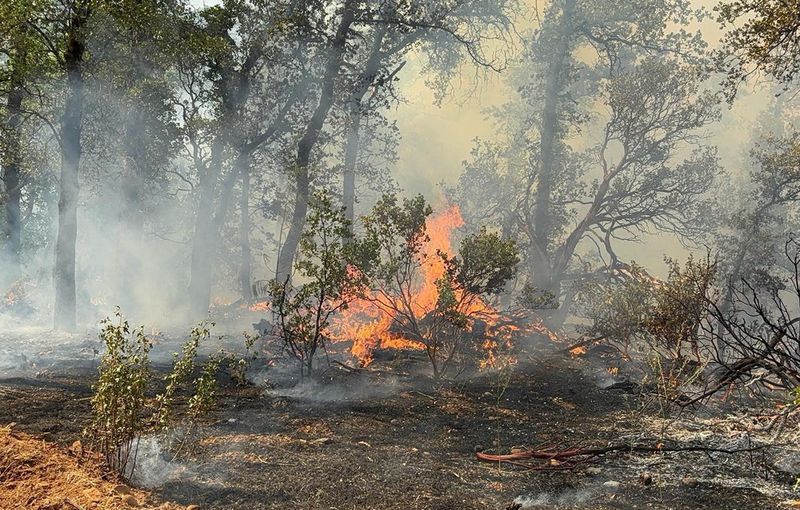 The Knoll Fire burned 2.8 acres at the 18200 block of Knoll Lane, off Oak Leaf, in northern Redding on June 20, 2025.