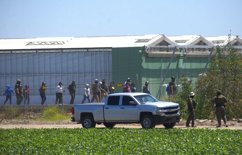 An immigration enforcement raid at a farm near Camarillo on July 10 triggered a large protest and tense confrontations.