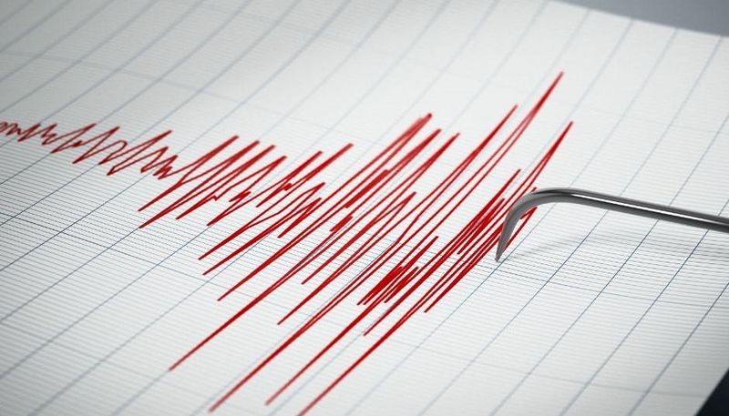Over the last three days, several earthquakes have struck near Loma Linda and Redlands, according to the U.S. Geological Survey.