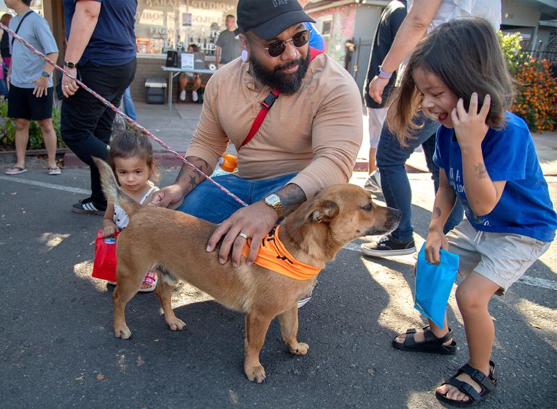 Mike Usison with his children Raven, 2, left, and Maverick, 4, pet a dog at the Stockton Animal Services tent at the Yosemite Street Village’s National Night Out event in Stockton on Aug. 5, 2025.