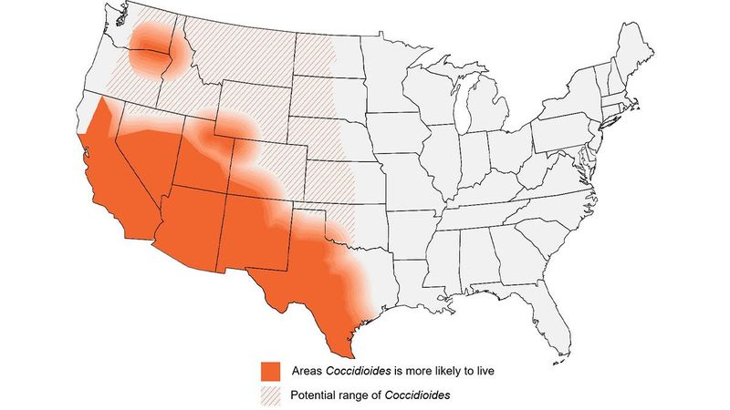 This map shows the areas where valley fever is most likely to be found, and its potential range, but the fungus isn't distributed evenly and may not be present everywhere within a shaded area and may exist outside of a shaded area.