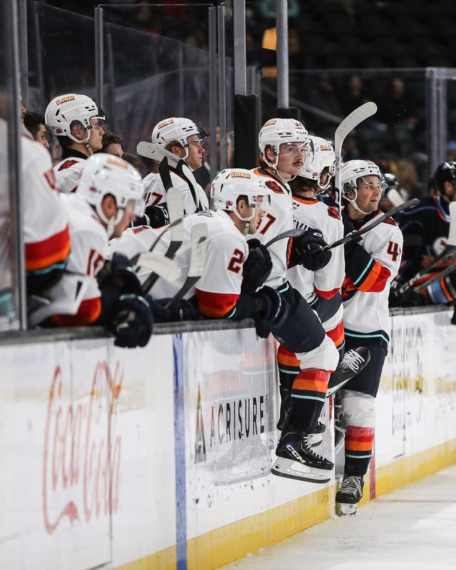 Coachella Valley Firebirds in action against the San Diego Gulls on October 30, 2025.