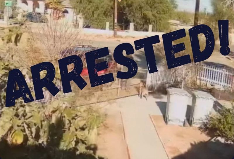 A man was arrested on Thursday, Oct. 30, 2025, for allegedly taunting and shooting a dog in the front yard of a Hesperia home days earlier.