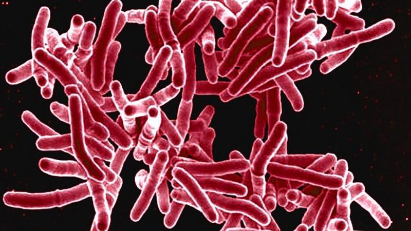 The Mycobacterium tuberculosis bacteria has caused 15 cases of tuberculosis in Tulare County so far this year.