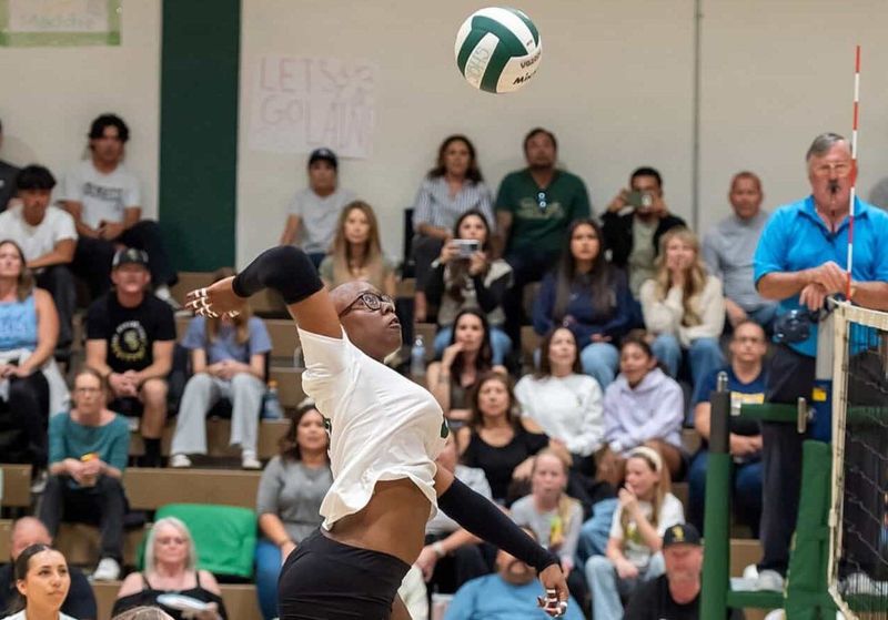 St. Bonaventure's Soraya Forbes earned co-MVP honors in the Tri-Valley League.