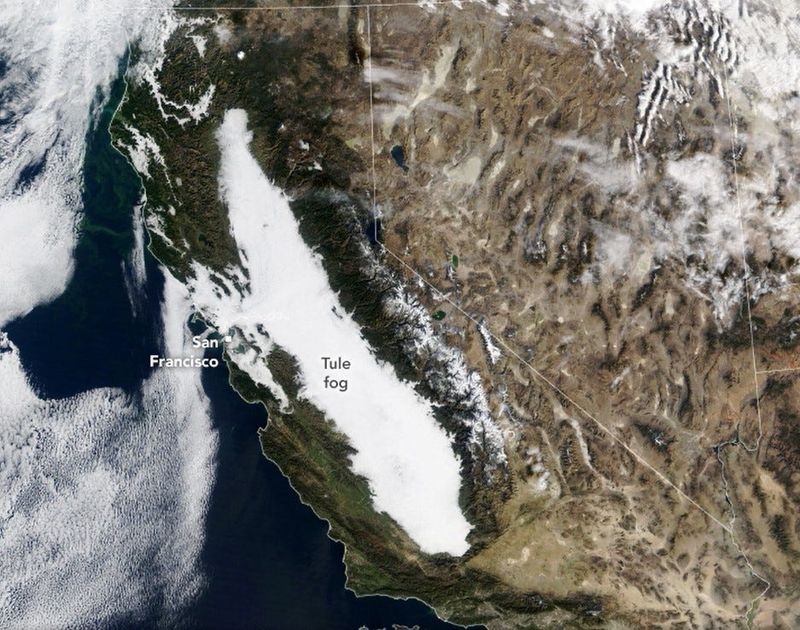 Since before Thanksgiving, tule fog has formed across Central California from Redding to Bakersfield.