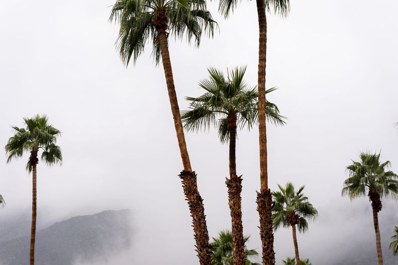 Clouds and rain obscure the San Jacinto Mountains in Palm Springs, Calif., on Wednesday, Dec. 24, 2025.