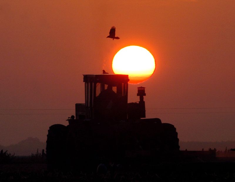 The sun rises in the east as a tractor discs a field along Highway 4 near Hollenbeck Road between Stockton and Farmington on Oct. 20, 2005.
