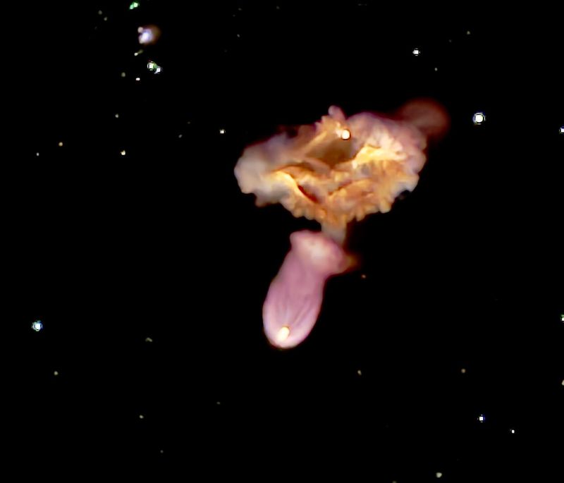 A SpaceX Falcon 9 rocket is pictured shortly after liftoff Jan. 16 from the Vandenberg Space Force Base on the NROL-105 mission in California.