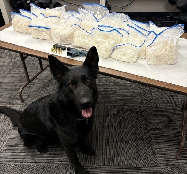 Barstow Police Department K-9 "Bailey" located 46 pounds of methamphetamine inside a car during a traffic stop along the 15 Freeway on Saturday, Feb. 28, 2026.