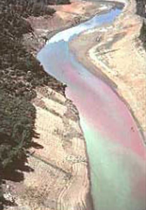 More than 19,000 gallons of metam sodium herbicide flowed into the Sacramento River, dumped by freight cars that derailed and overturned along the Cantara Loop near Dunsmuir on July 14, 1991. The herbicide traveled more than 40 miles south into Lake Shasta, killing millions of animals and destroying wilderness habitats along the river and in it, according to the California Department of Fish and Wildlife.