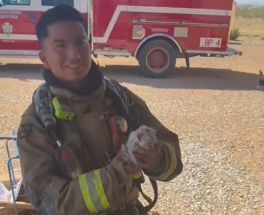 A cat died and a kitten was rescued following a mobile home fire near Markham Road and Mobray Road in Oro Grande on Wednesday, March 25, 2026.