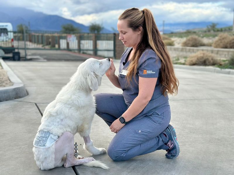 Animal Samaritans plans to build a new, better and larger pet adoption center and a humane education center on its campus.