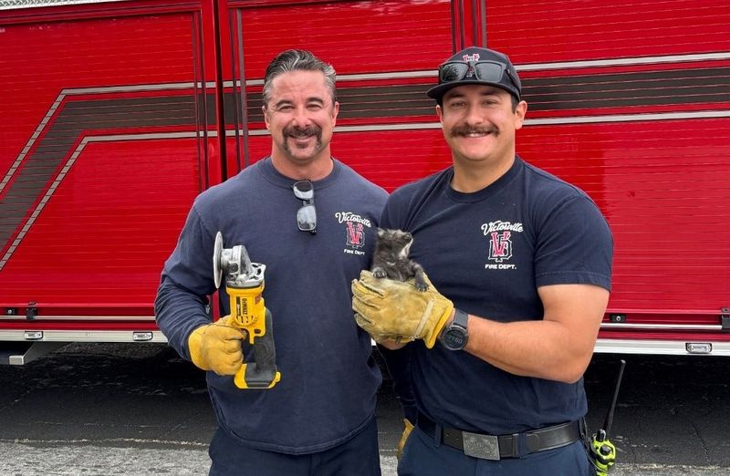 Victorville Fire Department firefighters used a thermal imaging camera and other firefighting tools to locate and rescue a kitten that became trapped inside the wall of a home on Friday, April 10, 2026.