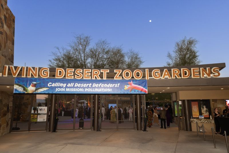 Your Hometown Zoo Days at The Living Desert runs through the end of June.