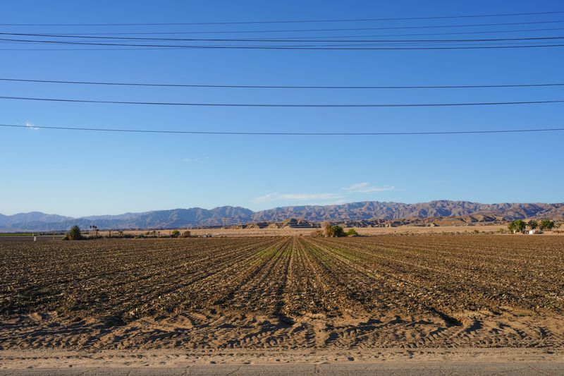 A developer proposes building a major data center complex on this land near Avenue 52 and Filmore Street in Coachella, seen April 15, 2026.