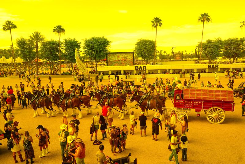 The Budweiser Clydesdales (seen from inside the "Spectra" art installation) were quite the attraction at the Stagecoach country music festival on Saturday, April 25, 2026 in Indio, Calif.