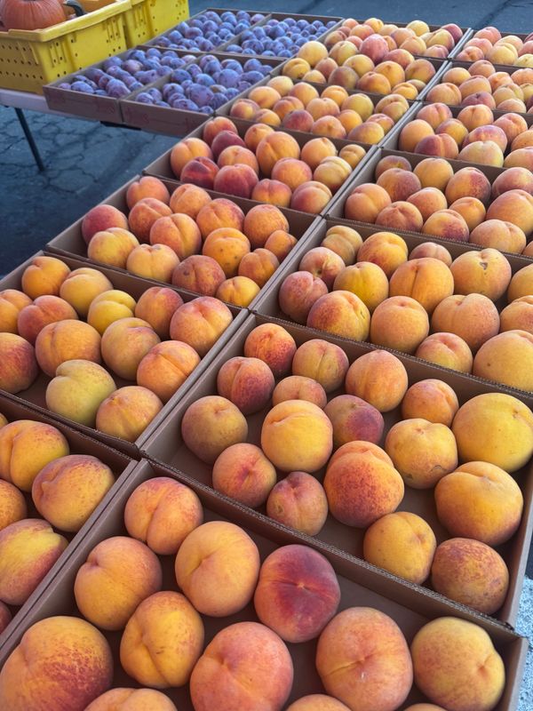 A stand selling peaches and plums at the Redding Farmer's Market.