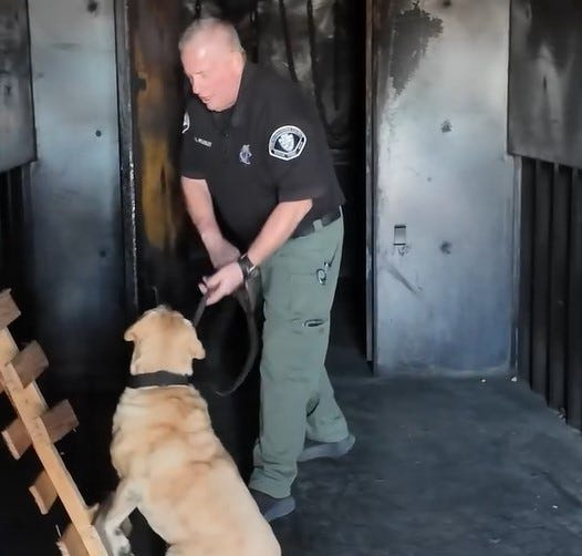 San Bernardino County Fire Department Assistant Fire Marshal Brian Headly, with arson dog Ginnie, investigate arsons throughout San Bernardino County.