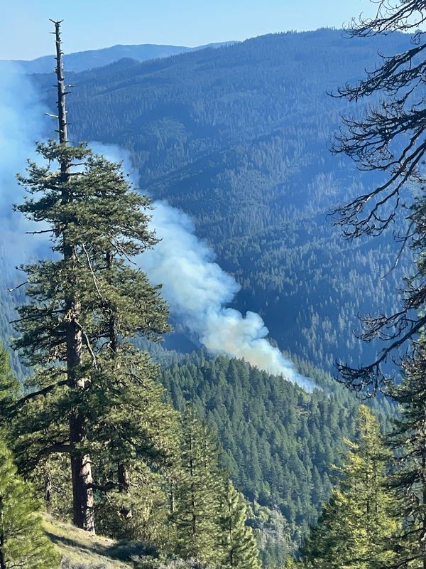 The Limedyke Fire scorched 4 acres of rugged wilderness terrain in the Shasta-Trinity National Forest as of Friday, May 8, 2026, the U.S. Forest Service said.