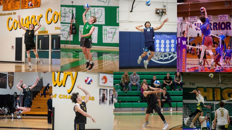 Boys volleyball poll collage