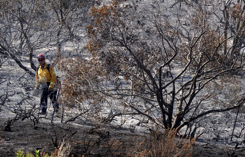 A firefighter walks through scorched landscape checking for hot spots from the Sandy Fire near the end of Sequoia Avenue in Simi Valley on May 21.