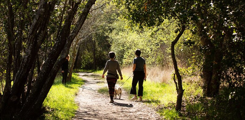 Ragle Ranch Regional Park offers hiking in west Sebastopol.