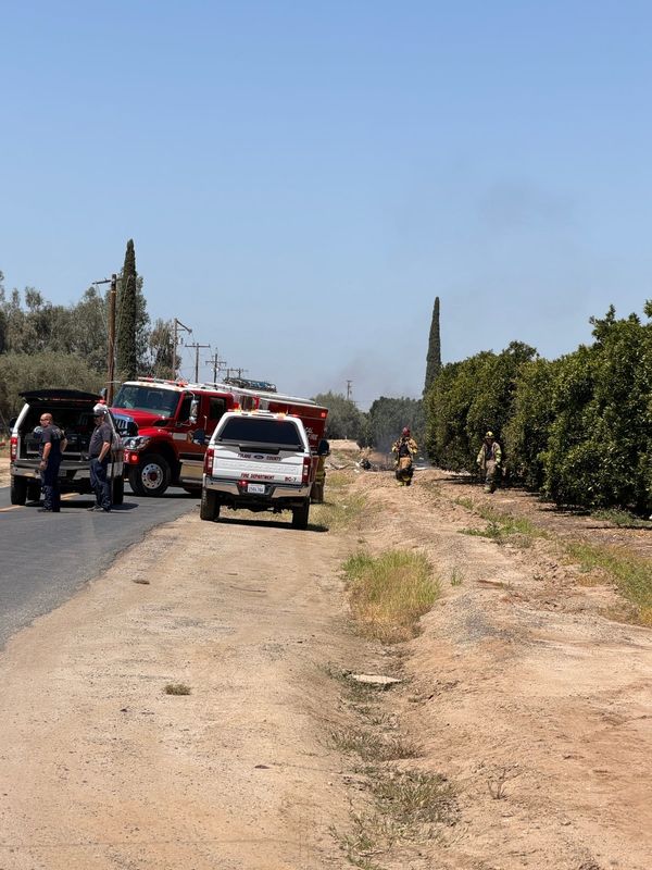 Tulare County sheriff's deputies responded to reports of a plane crash on Saturday, May 23, 2026 in Woodlake.